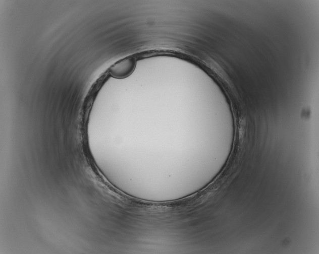 X0000113021068200909171448