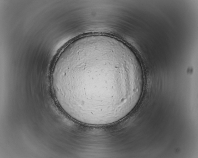 X0000113021071200909171448