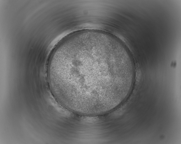 X0000113021074200909171448