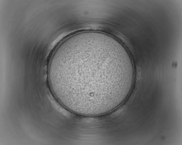 X0000113021075200909171448