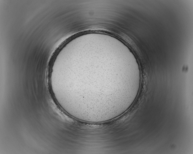 X0000113021076200909171448