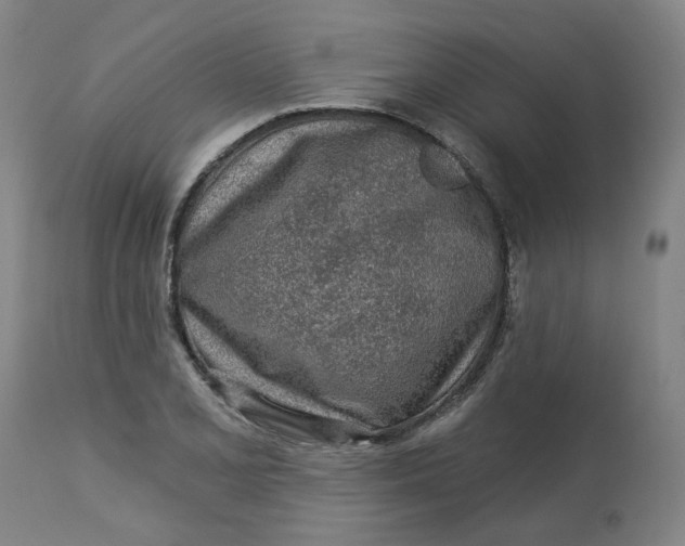 X0000113021077200909171448