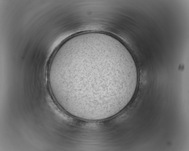 X0000113021078200909171448