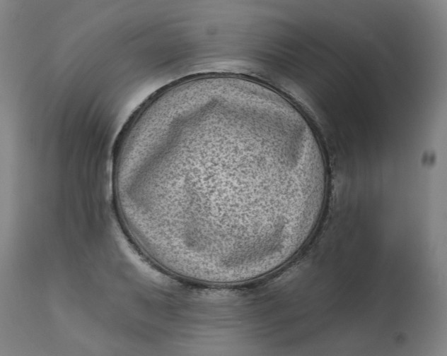 X0000113021079200909171448