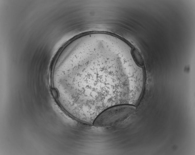 X0000113021080200909171448