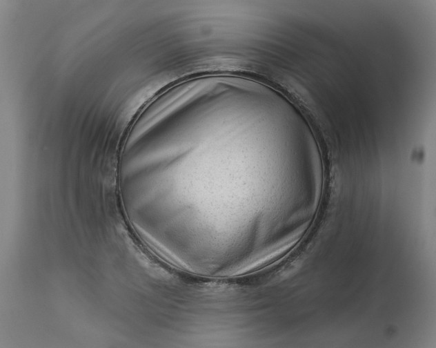 X0000113021081200909171448