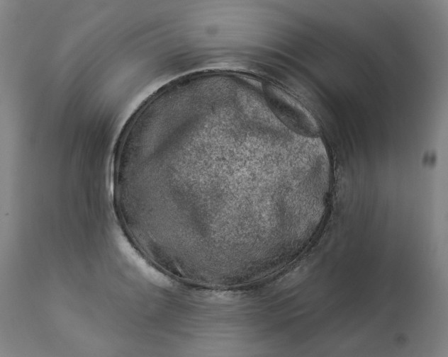 X0000113021084200909171448