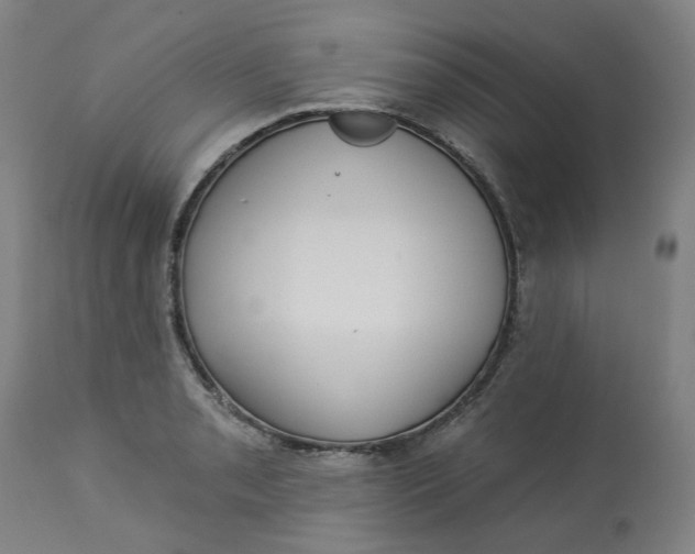 X0000113021085200909171448