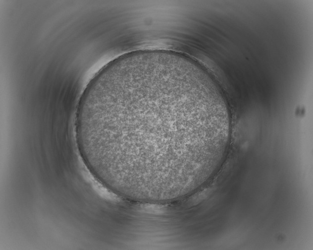 X0000113021086200909171448