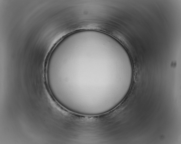 X0000113021087200909171448