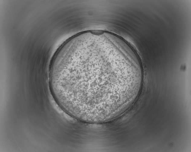 X0000113021088200909171447