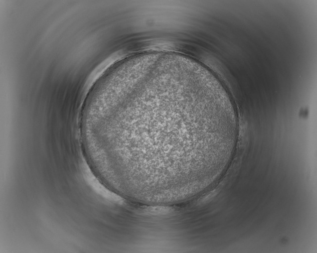 X0000113021090200909171447