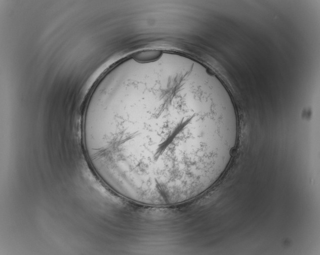 X0000113021092200909171447