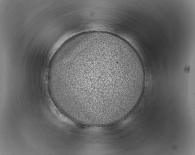 X0000113021094200909171447