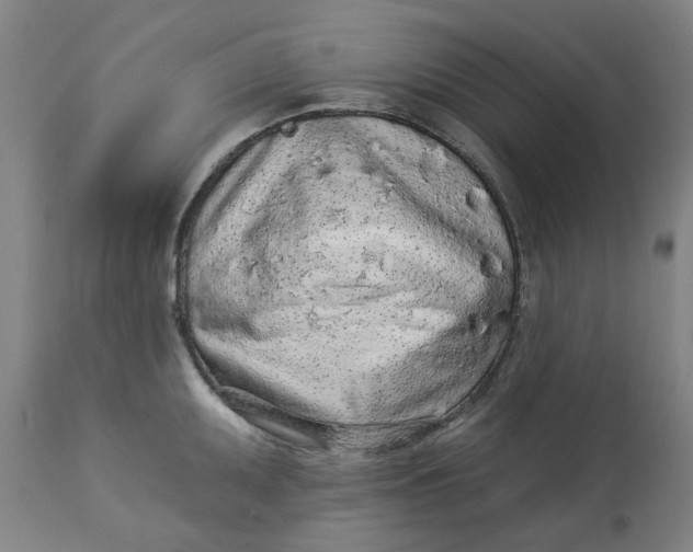 X0000113021095200909171447