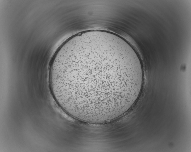 X0000113021096200909171447