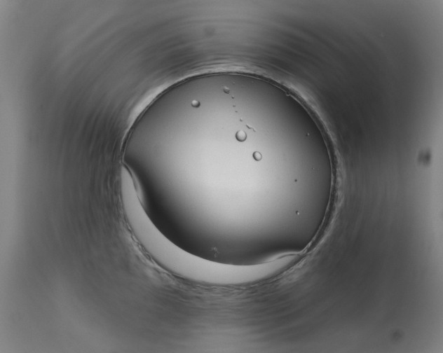 X0000113021097200909171447