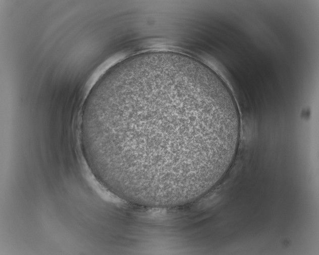 X0000113021098200909171447