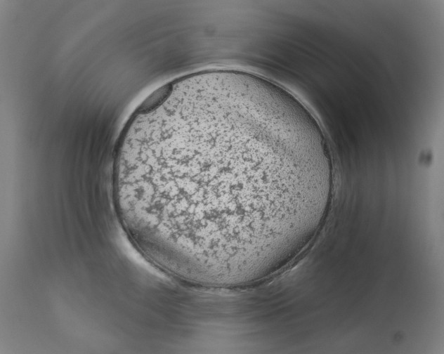 X0000113021100200909171447