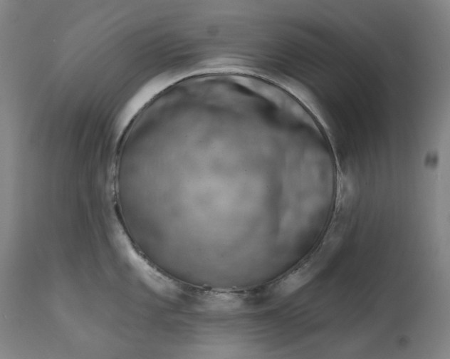 X0000113021101200909171447