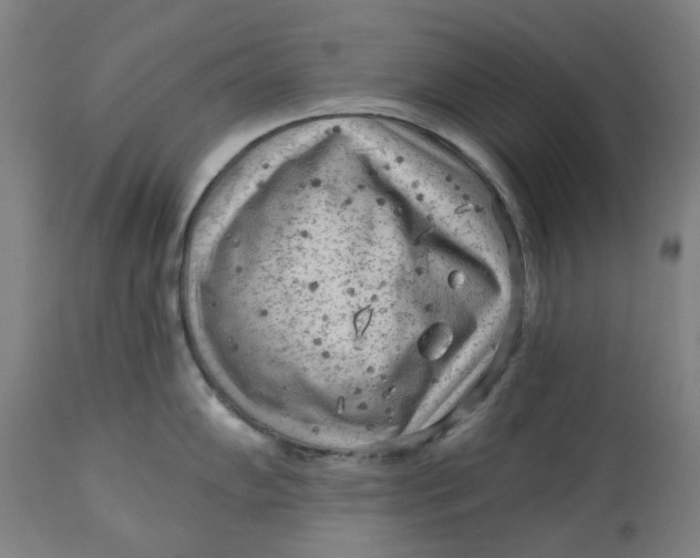 X0000113021102200909171447