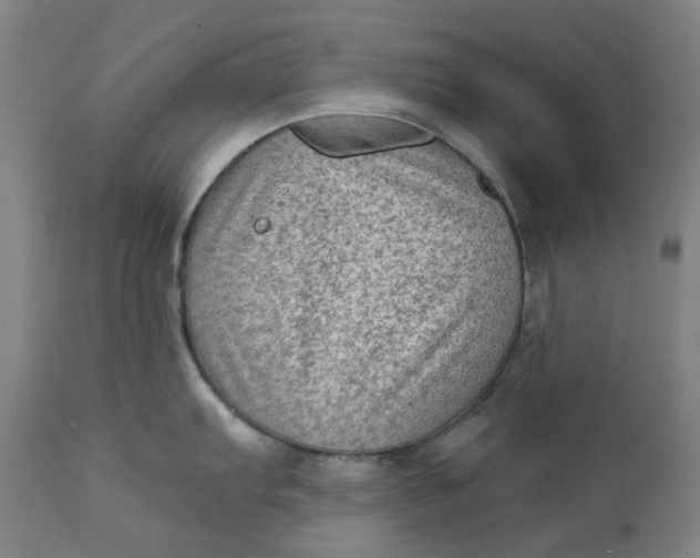 X0000113021103200909171447