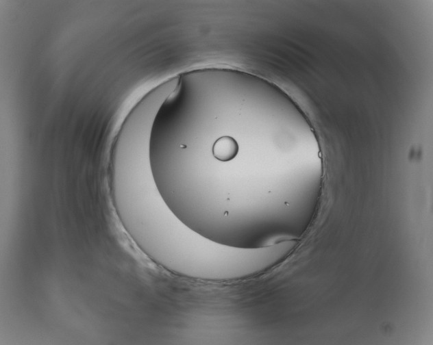 X0000113021104200909171447