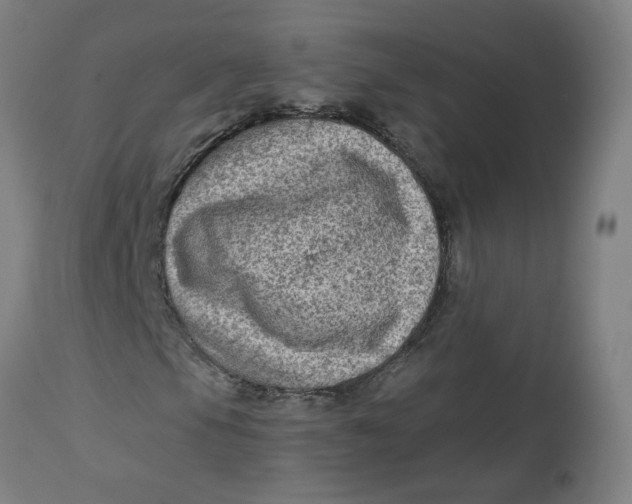 X0000113021105200909171447