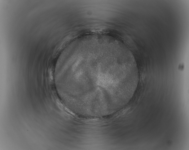 X0000113021106200909171447