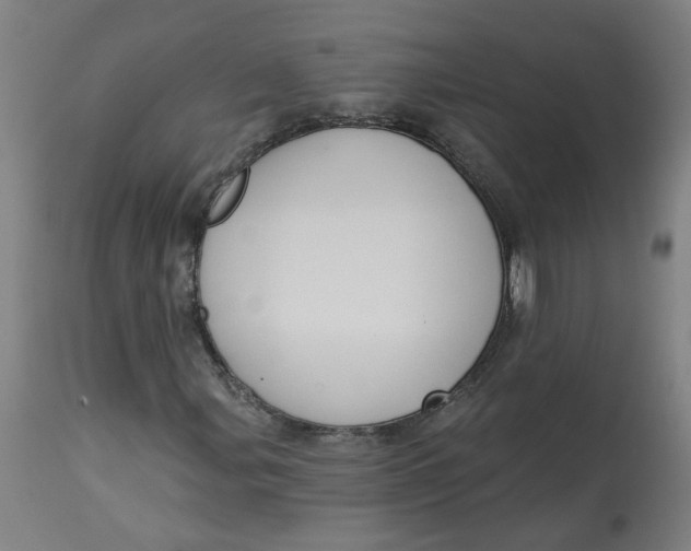 X0000113021107200909171447