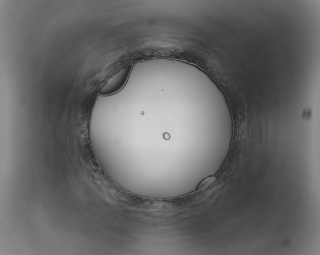 X0000113021109200909171447