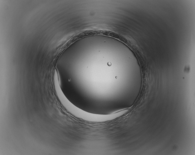 X0000113021110200909171447