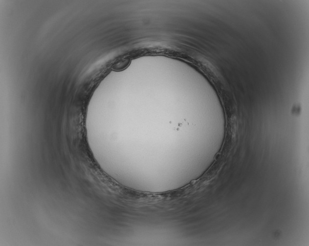 X0000113021111200909171447