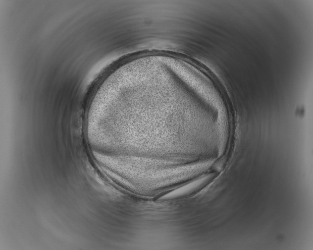 X0000113021115200909171447