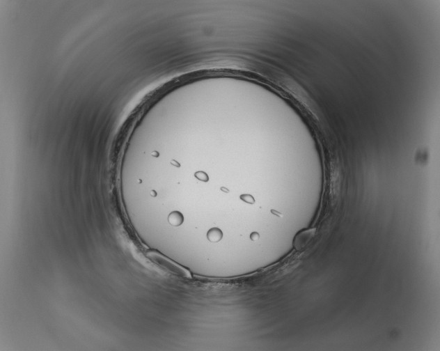 X0000113021116200909171447