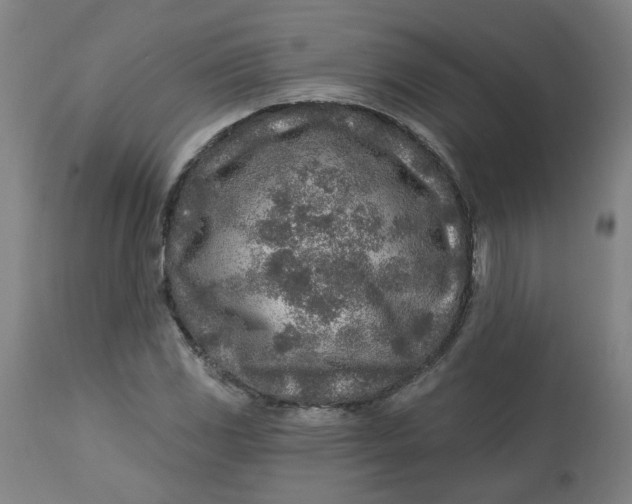 X0000113021117200909171447