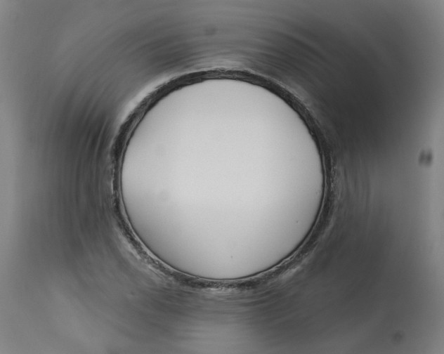 X0000113021118200909171447