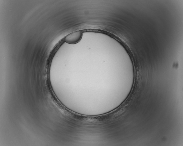 X0000113021119200909171447