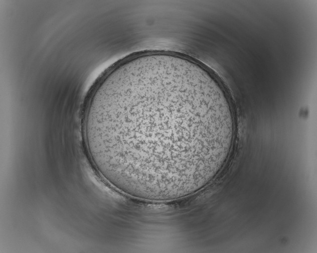 X0000113021120200909171447