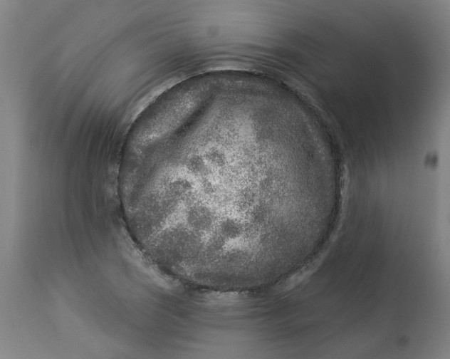 X0000113021121200909171447