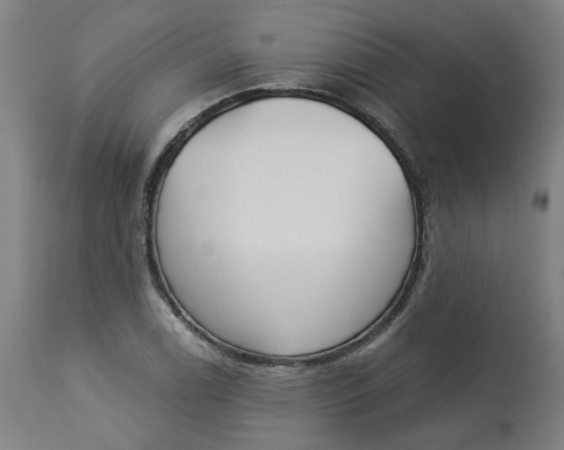 X0000113021122200909171447