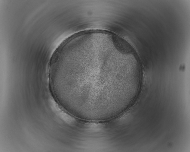 X0000113021124200909171447