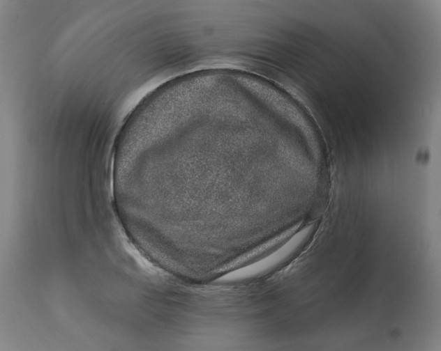 X0000113021127200909171447