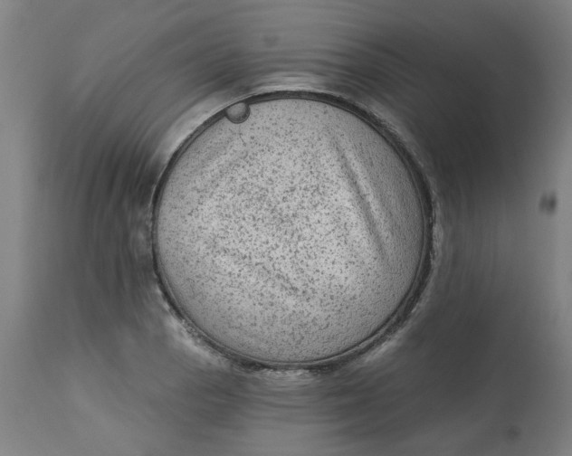 X0000113021129200909171447