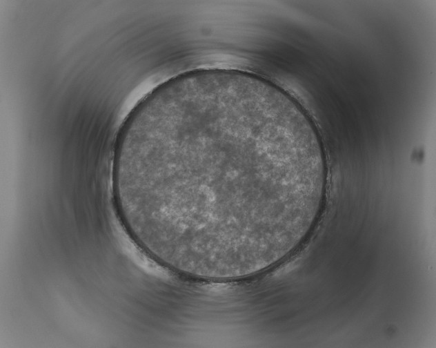 X0000113021130200909171447