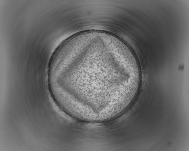 X0000113021133200909171447