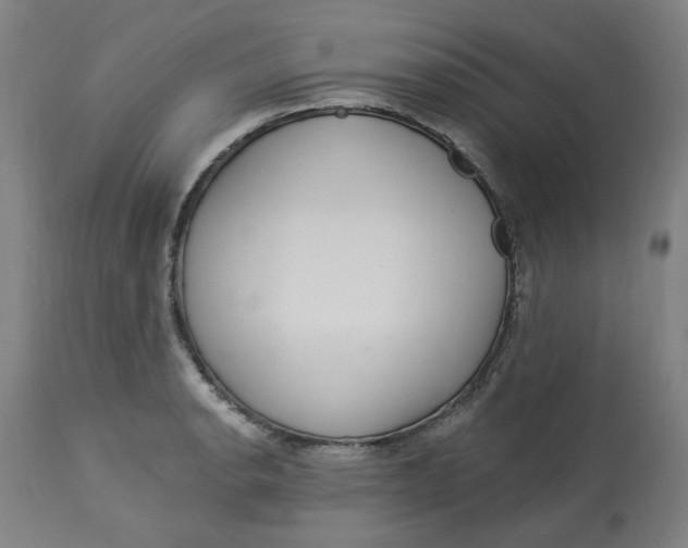 X0000113021134200909171447