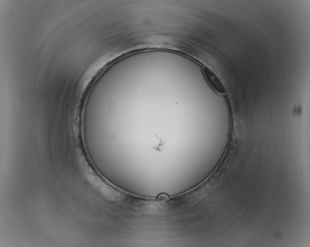 X0000113021136200909171447