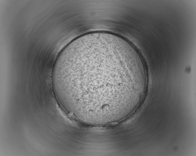 X0000113021137200909171447