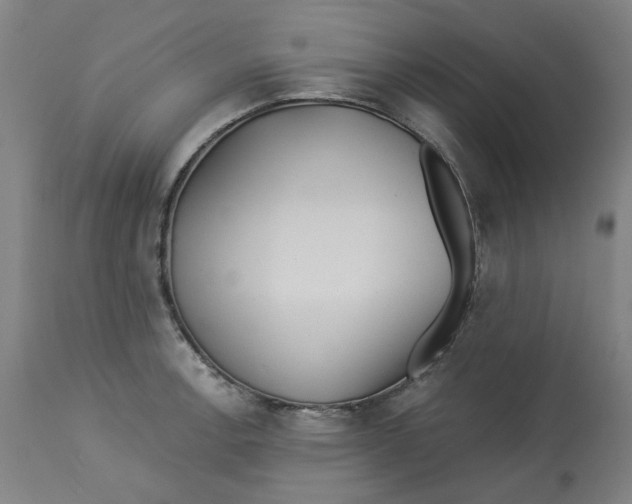 X0000113021138200909171447